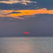 ヒメ日記 2025/08/24 00:12 投稿 スモモ ピンクコレクション尼崎店