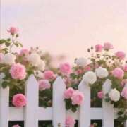 ヒメ日記 2025/09/10 00:17 投稿 スモモ ピンクコレクション尼崎店