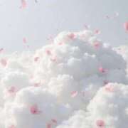 ヒメ日記 2025/10/30 01:23 投稿 スモモ ピンクコレクション尼崎店