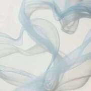 ヒメ日記 2025/11/04 03:34 投稿 スモモ ピンクコレクション尼崎店