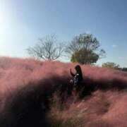 ヒメ日記 2025/11/10 19:35 投稿 スモモ ピンクコレクション尼崎店