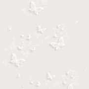 ヒメ日記 2025/11/14 16:22 投稿 スモモ ピンクコレクション尼崎店