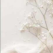 ヒメ日記 2025/11/19 22:44 投稿 スモモ ピンクコレクション尼崎店