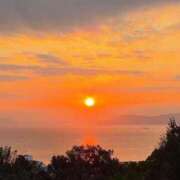 ヒメ日記 2026/01/04 12:02 投稿 スモモ ピンクコレクション尼崎店