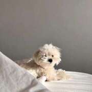 ヒメ日記 2026/01/07 22:12 投稿 スモモ ピンクコレクション尼崎店