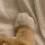 ヒメ日記 2026/01/12 04:02 投稿 スモモ ピンクコレクション尼崎店