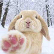 ヒメ日記 2026/01/19 02:26 投稿 スモモ ピンクコレクション尼崎店