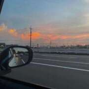 ヒメ日記 2026/01/19 22:02 投稿 スモモ ピンクコレクション尼崎店