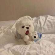 ヒメ日記 2026/01/25 01:32 投稿 スモモ ピンクコレクション尼崎店