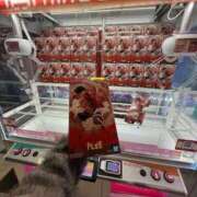 ヒメ日記 2026/02/20 18:22 投稿 スモモ ピンクコレクション尼崎店