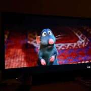 ヒメ日記 2026/02/22 01:32 投稿 スモモ ピンクコレクション尼崎店