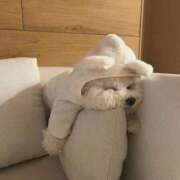 スモモ ご予約完売♡ ピンクコレクション尼崎店