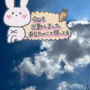 ヒメ日記 2025/08/30 13:29 投稿 ゆう 香川高松ちゃんこ