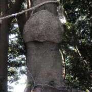 ヒメ日記 2025/04/29 10:15 投稿 いちか 熟女デリヘル倶楽部