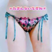 ヒメ日記 2025/05/19 18:50 投稿 いちか 熟女デリヘル倶楽部