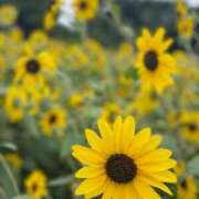 ヒメ日記 2025/09/15 10:10 投稿 いちか 熟女デリヘル倶楽部