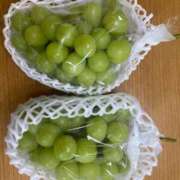 ヒメ日記 2025/10/12 19:30 投稿 いちか 熟女デリヘル倶楽部