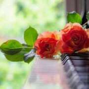 ヒメ日記 2025/10/22 11:00 投稿 いちか 熟女デリヘル倶楽部