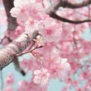 ヒメ日記 2026/02/12 14:22 投稿 いちか 熟女デリヘル倶楽部