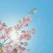 ヒメ日記 2026/03/24 10:27 投稿 いちか 熟女デリヘル倶楽部