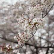 ヒメ日記 2026/04/05 15:55 投稿 いちか 熟女デリヘル倶楽部