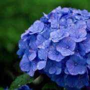 ヒメ日記 2025/05/31 10:57 投稿 高倉あや セカンドパートナー