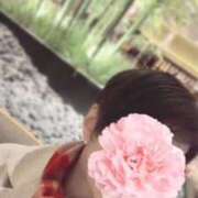 ヒメ日記 2025/12/14 12:02 投稿 高倉あや セカンドパートナー