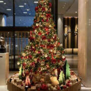 ヒメ日記 2025/12/25 15:24 投稿 高倉あや セカンドパートナー