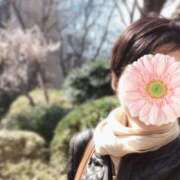 ヒメ日記 2026/03/01 12:00 投稿 高倉あや セカンドパートナー