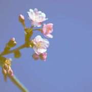 ヒメ日記 2026/03/20 12:45 投稿 高倉あや セカンドパートナー本店