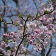ヒメ日記 2026/04/02 16:55 投稿 高倉あや セカンドパートナー本店