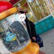 ヒメ日記 2025/04/27 19:01 投稿 なつ ちゃんこ本厚木店