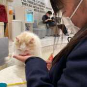 ヒメ日記 2025/05/04 18:36 投稿 なつ ちゃんこ本厚木店