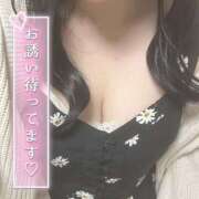 ヒメ日記 2025/05/02 11:31 投稿 もも 柏人妻花壇