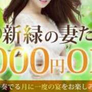 ヒメ日記 2025/05/17 11:10 投稿 もも 柏人妻花壇