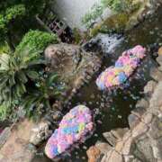 ヒメ日記 2025/07/05 17:21 投稿 もも 柏人妻花壇