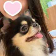 ヒメ日記 2025/06/18 20:38 投稿 もえ 上野ハイブリッドマッサージ