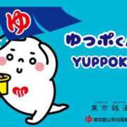 ヒメ日記 2025/05/01 12:11 投稿 りおん 白いぽっちゃりさん