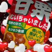 ヒメ日記 2025/08/18 15:16 投稿 ひろみ 大宮おかあさん