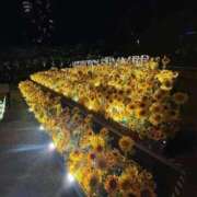 ヒメ日記 2025/09/19 01:48 投稿 まいか 新妻物語