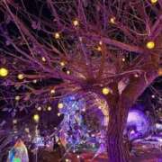 ヒメ日記 2025/12/14 14:28 投稿 まいか 新妻物語