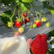 ヒメ日記 2026/01/03 13:28 投稿 まいか 新妻物語