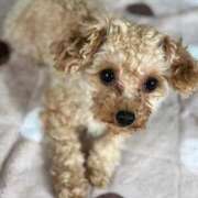 ヒメ日記 2026/01/07 20:12 投稿 まいか 新妻物語