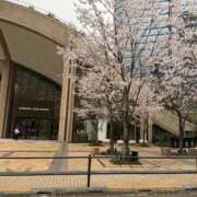 ヒメ日記 2026/04/05 12:38 投稿 まいか 新妻物語