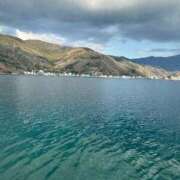 ヒメ日記 2026/04/10 14:11 投稿 まいか 新妻物語