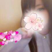 ヒメ日記 2025/04/29 14:15 投稿 おとは 小岩人妻花壇