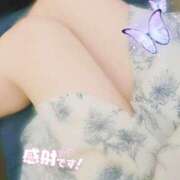 ヒメ日記 2025/06/07 12:16 投稿 おとは 小岩人妻花壇