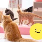 ヒメ日記 2025/07/18 21:04 投稿 おとは 小岩人妻花壇