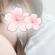 ヒメ日記 2025/11/02 12:31 投稿 おとは 小岩人妻花壇