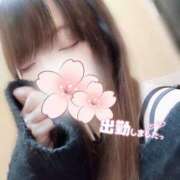 ヒメ日記 2025/11/19 17:09 投稿 おとは 小岩人妻花壇